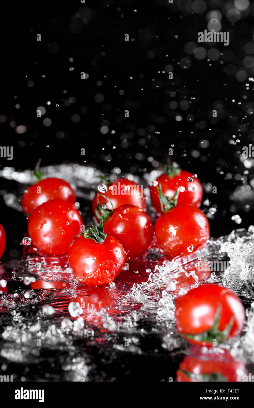 Close-up view of fresh ripe tomatoes with water drops isolated on black ...