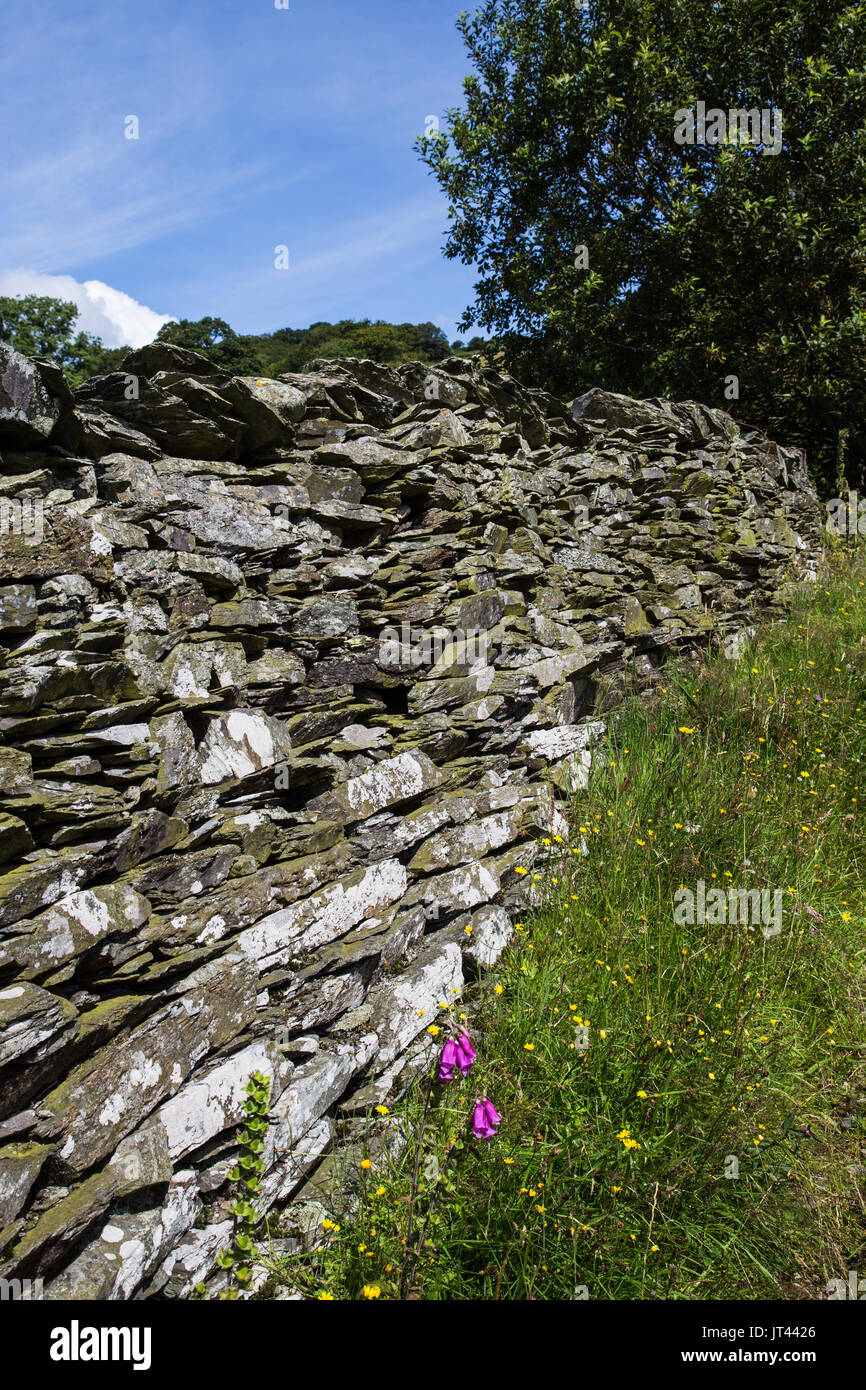 Dry Stone Walls in the Lake District National Park. Stock Photo