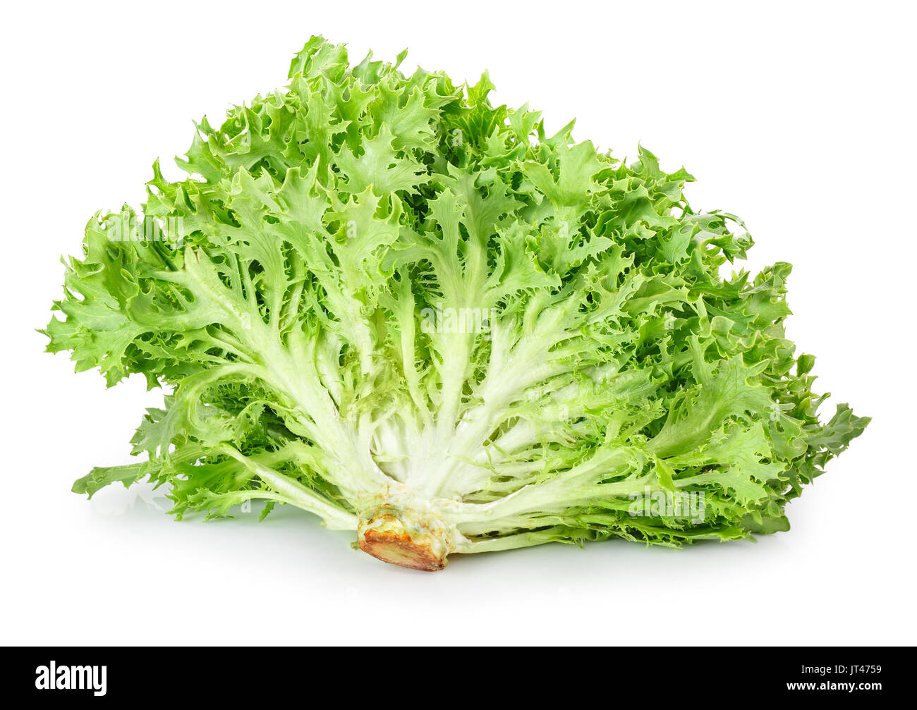 Frisee Lettuce High Resolution Stock Photography And Images Alamy
