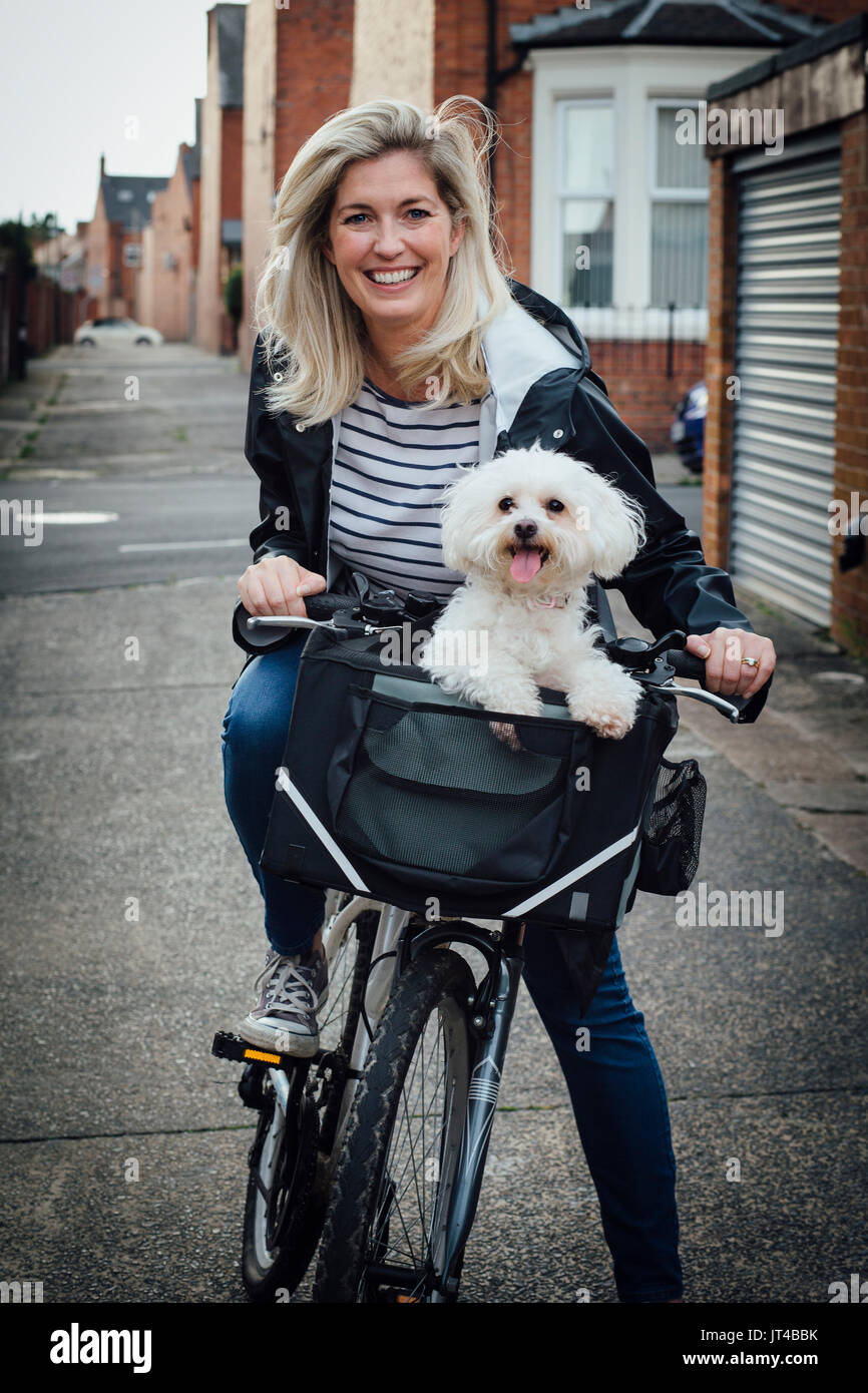 Mature woman sitting on her bike with her pet Bichon Frise in a basket on the front. They are both looking at the camera; the woman is smiling and the Stock Photo