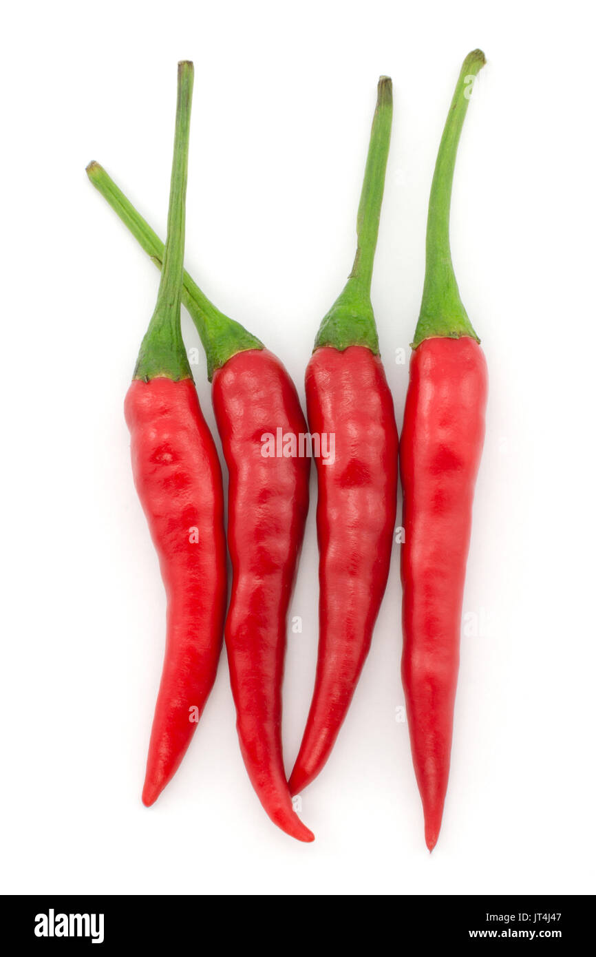 Hot chili pepper or small chili padi isolated on white background Stock