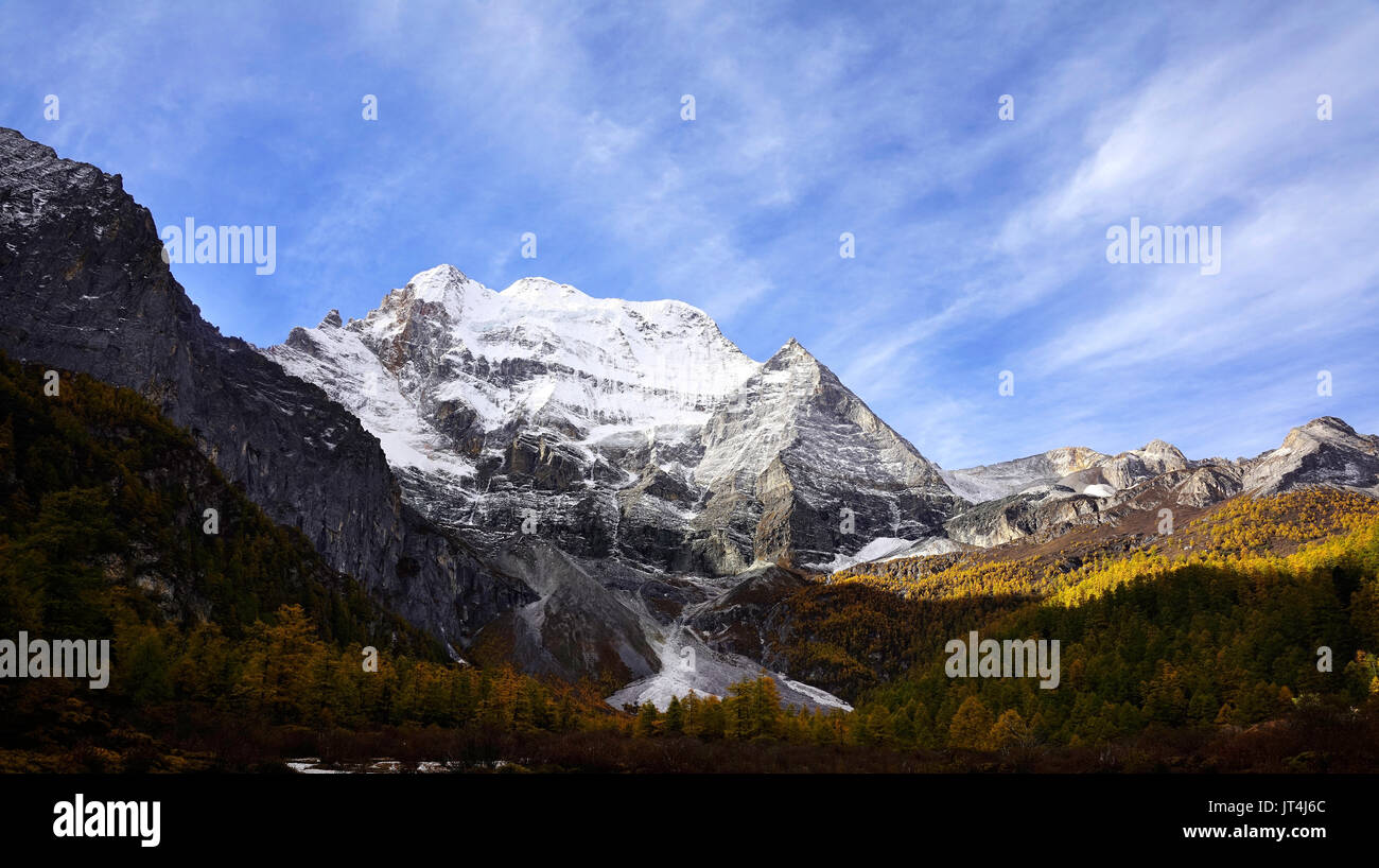 Shangri la, a panorama view of holy snow-clad mountain Chenrezig and yellow orange colored autumn trees in the valley in Yading national level reserve Stock Photo