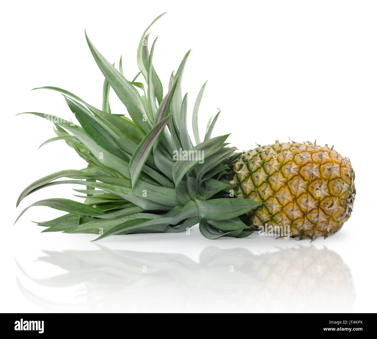 Pineapple or nanas isolated on white Stock Photo Alamy