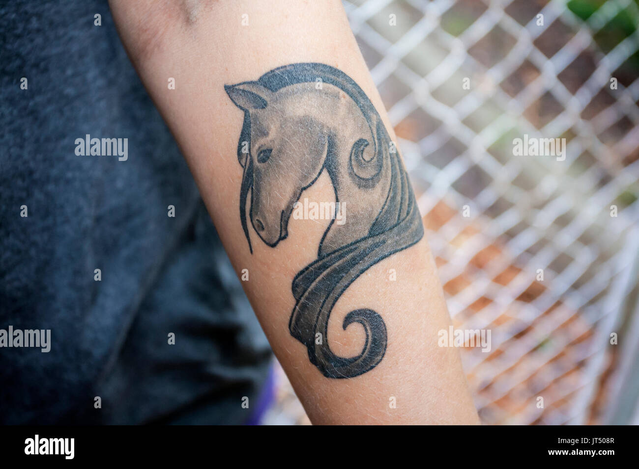 Discover more than 91 thoroughbred tattoo latest