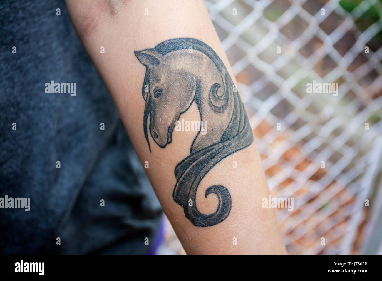 Forearm Black Horse Tattoo  Horse tattoo, Horse tattoo design, Small horse  tattoo