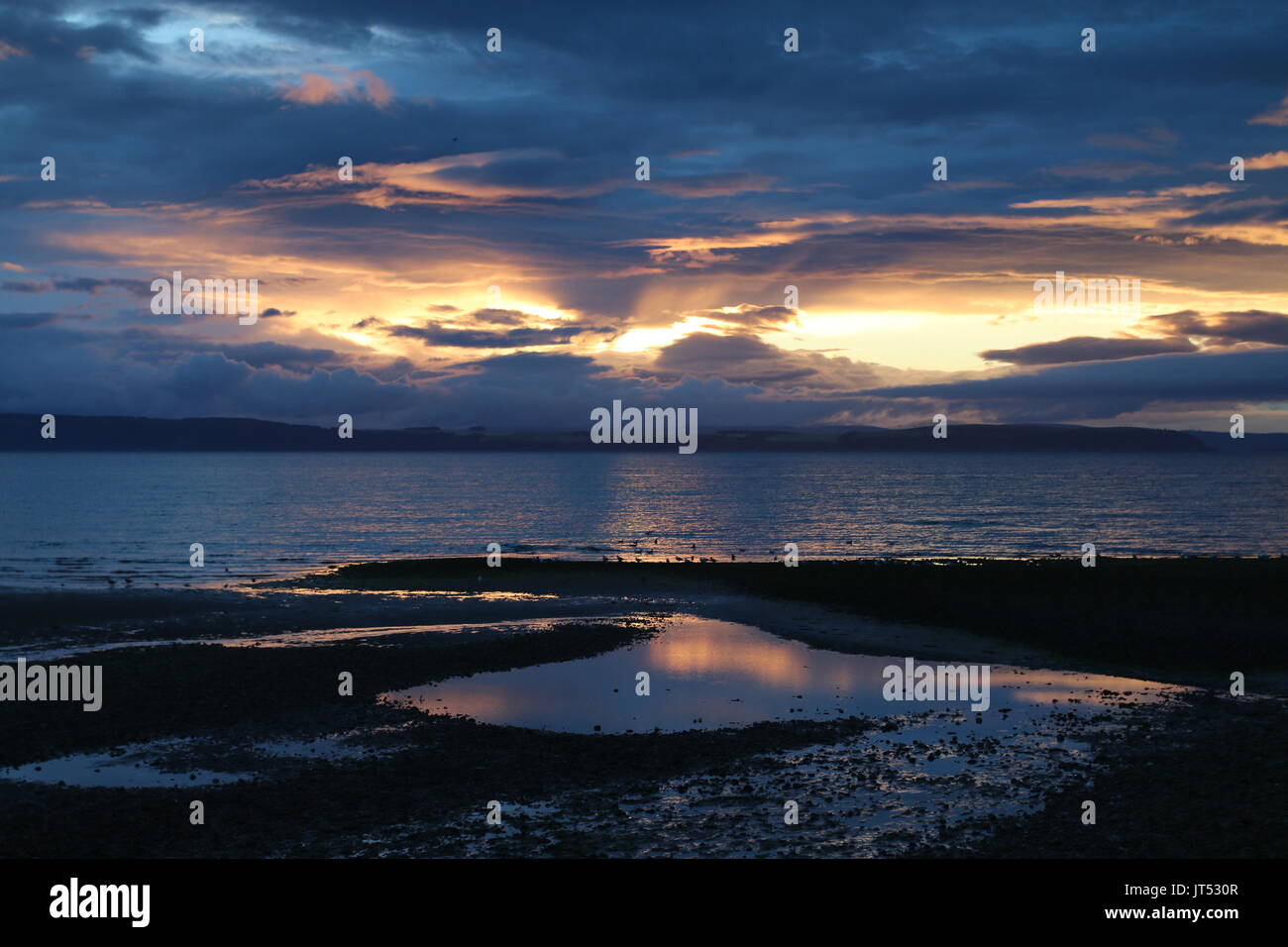 Dolphins at nairn beach, highlands hi-res stock photography and images ...