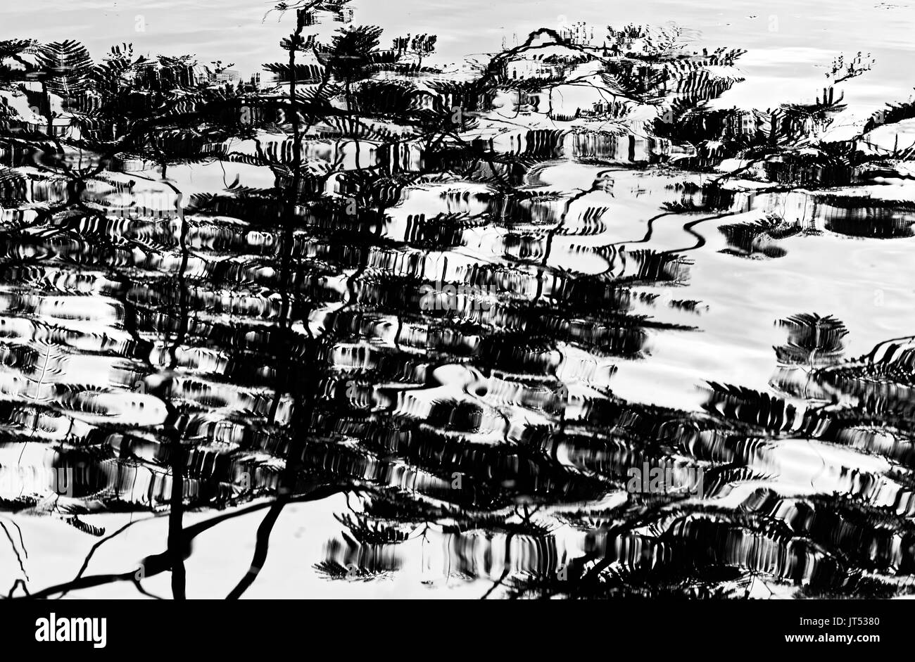 Reflections of water surface Black and White Stock Photos & Images - Alamy