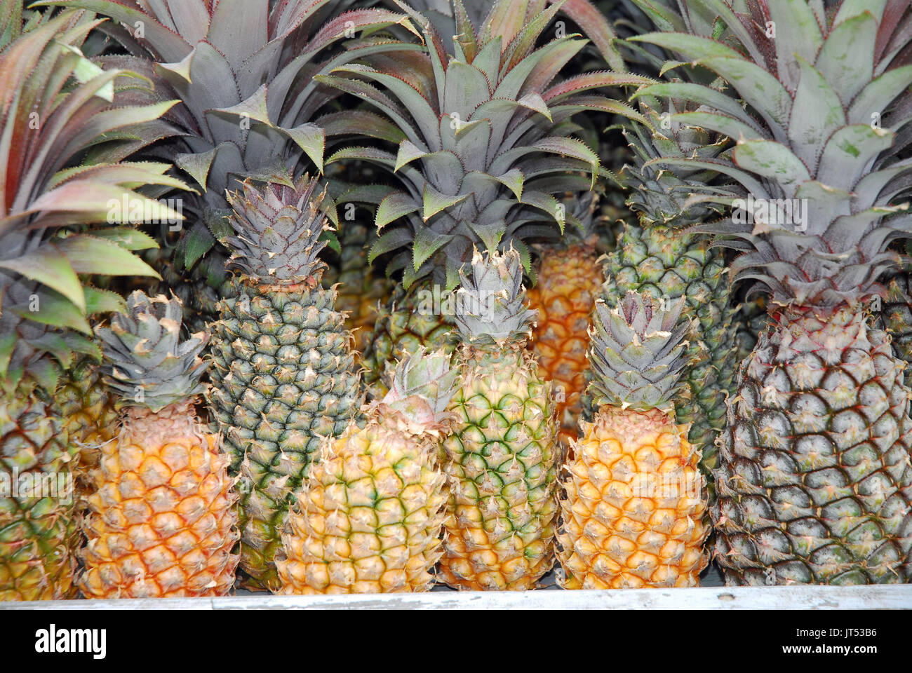 Antigua Black Pineapple High Resolution Stock Photography And Images Alamy