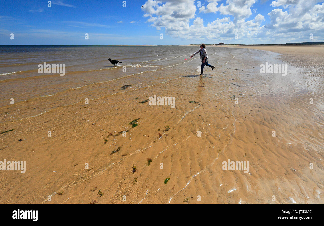 Woman throwing ball for dog into sea on sandy beach hires stock