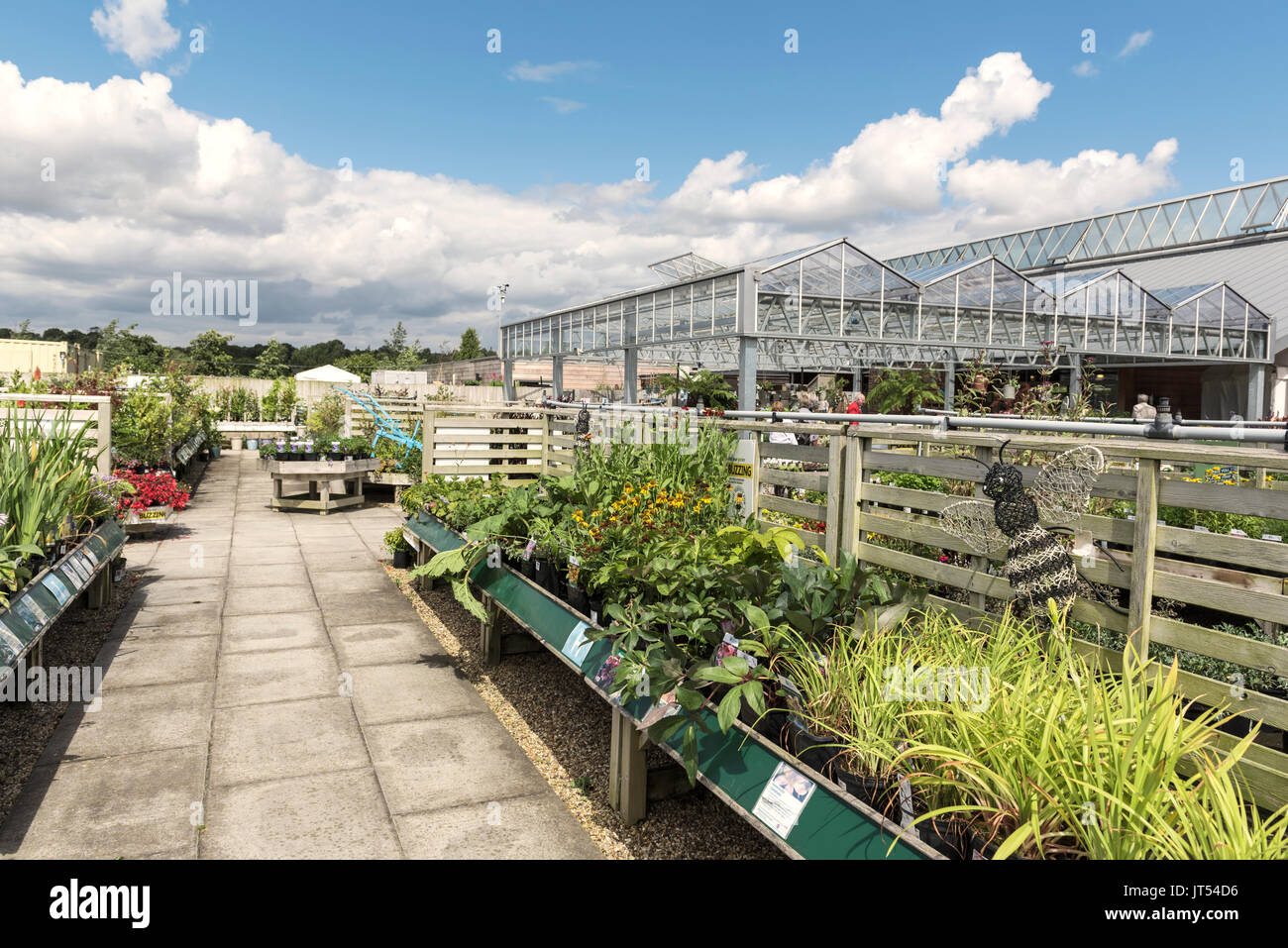 Plant centre at RHS Hyde Hall. Garden centre. Stock Photo