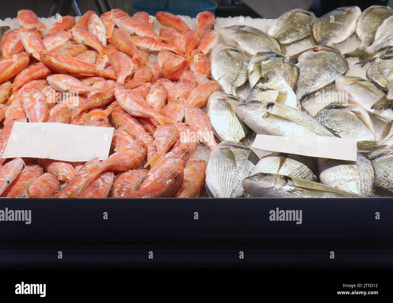 Pile of fresh sea fish and shrimps on ice sold on market stall Stock Photo