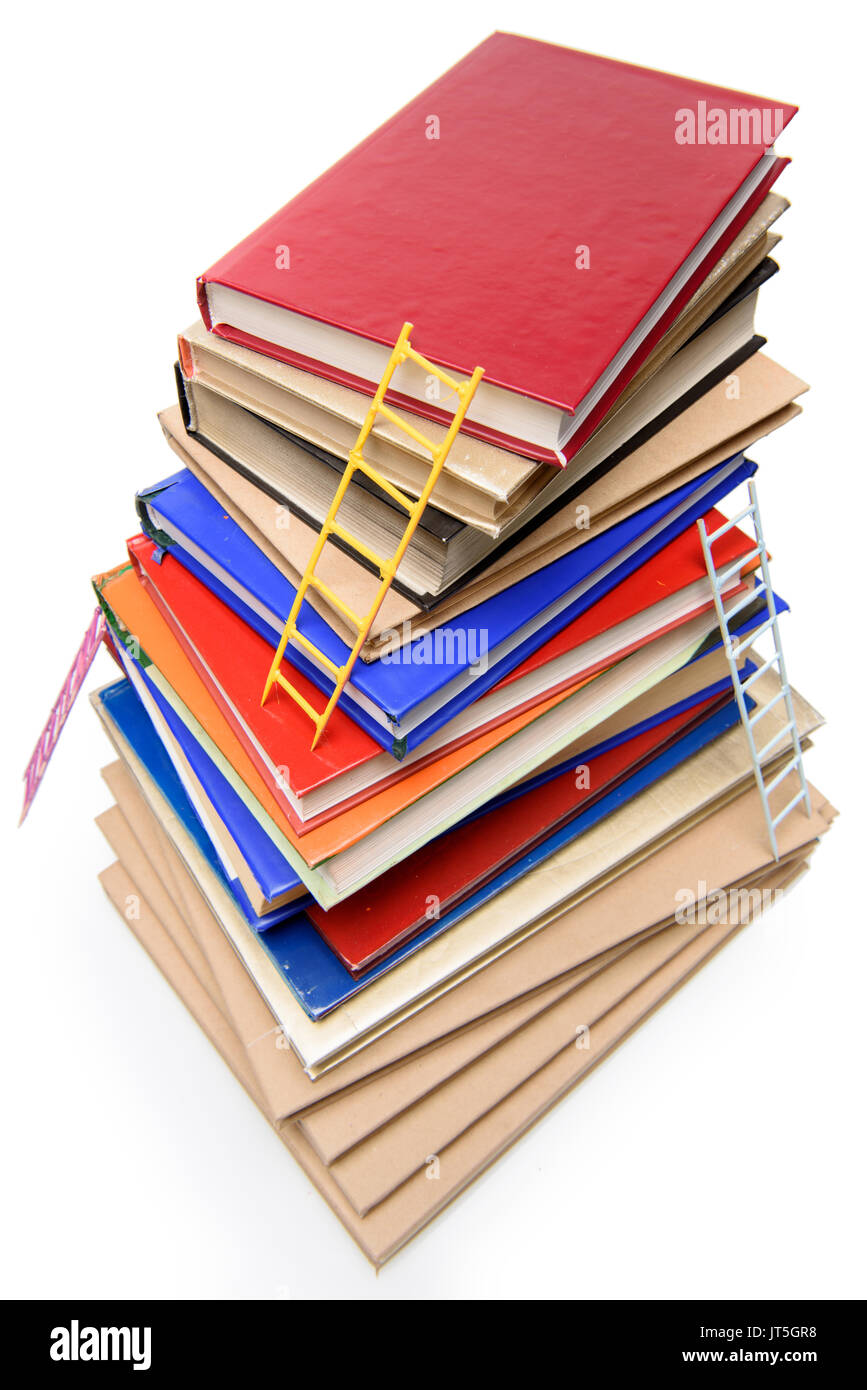 stack of books with ladders isolated on white, educational concept