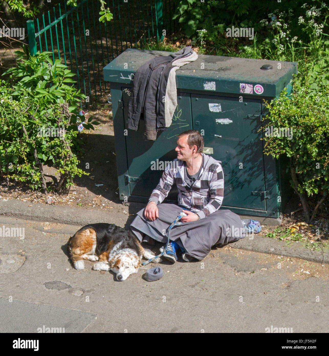 Homeless man sitting on pavement with sleeping dog in York, England Stock Photo