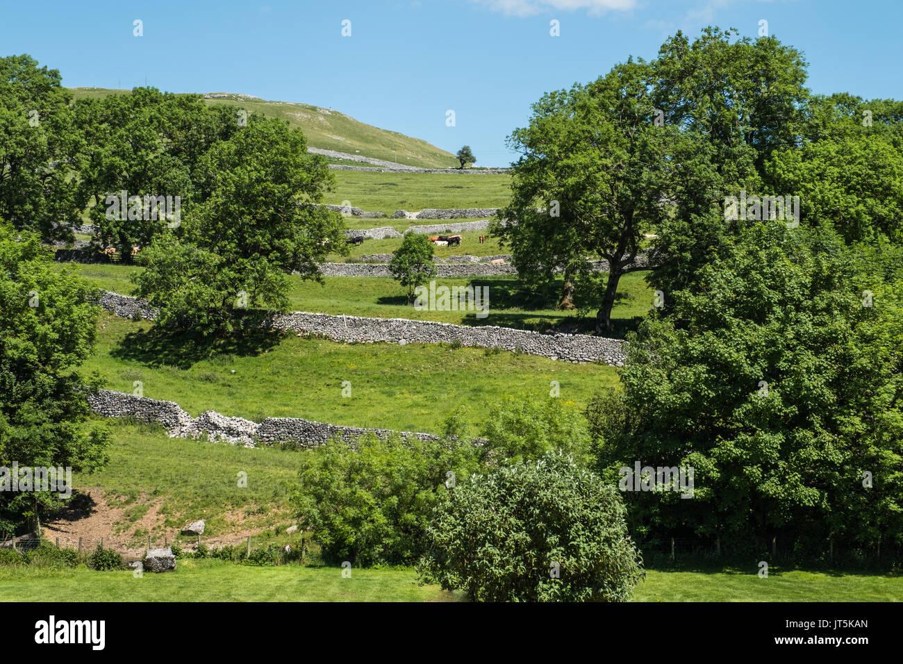 Views of the Landscape Around Malham, Yorkshire Dales, UK. Stock Photo