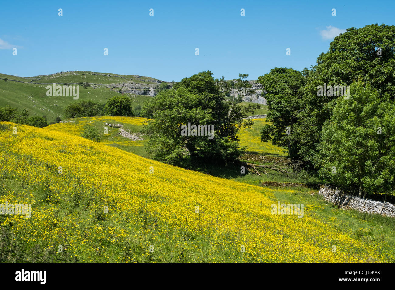 Views of the Landscape Around Malham, Yorkshire Dales, UK. Stock Photo
