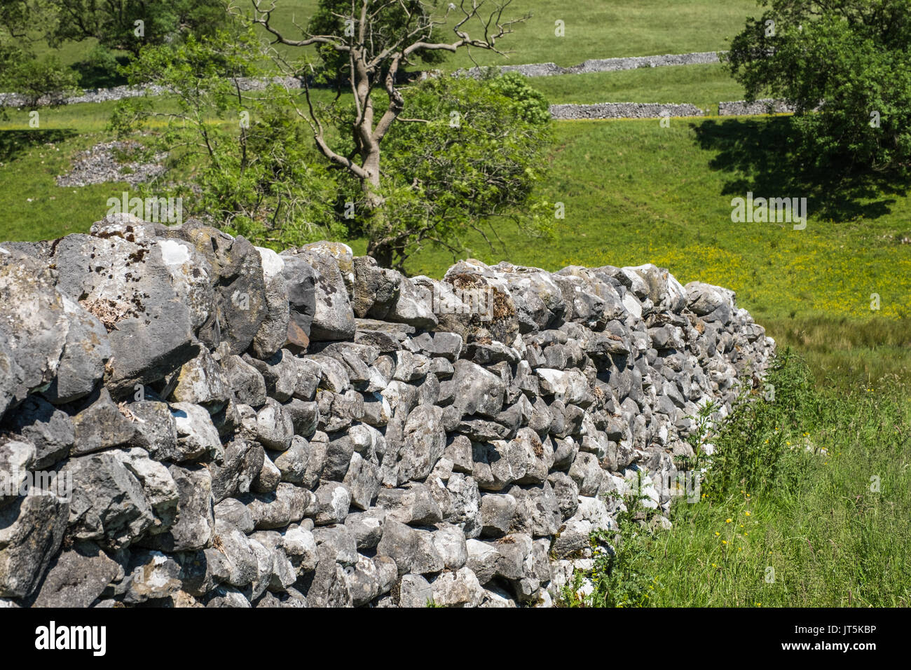 A Typical Dry Stone Wall at Malham North Yorkshire, UK Stock Photo