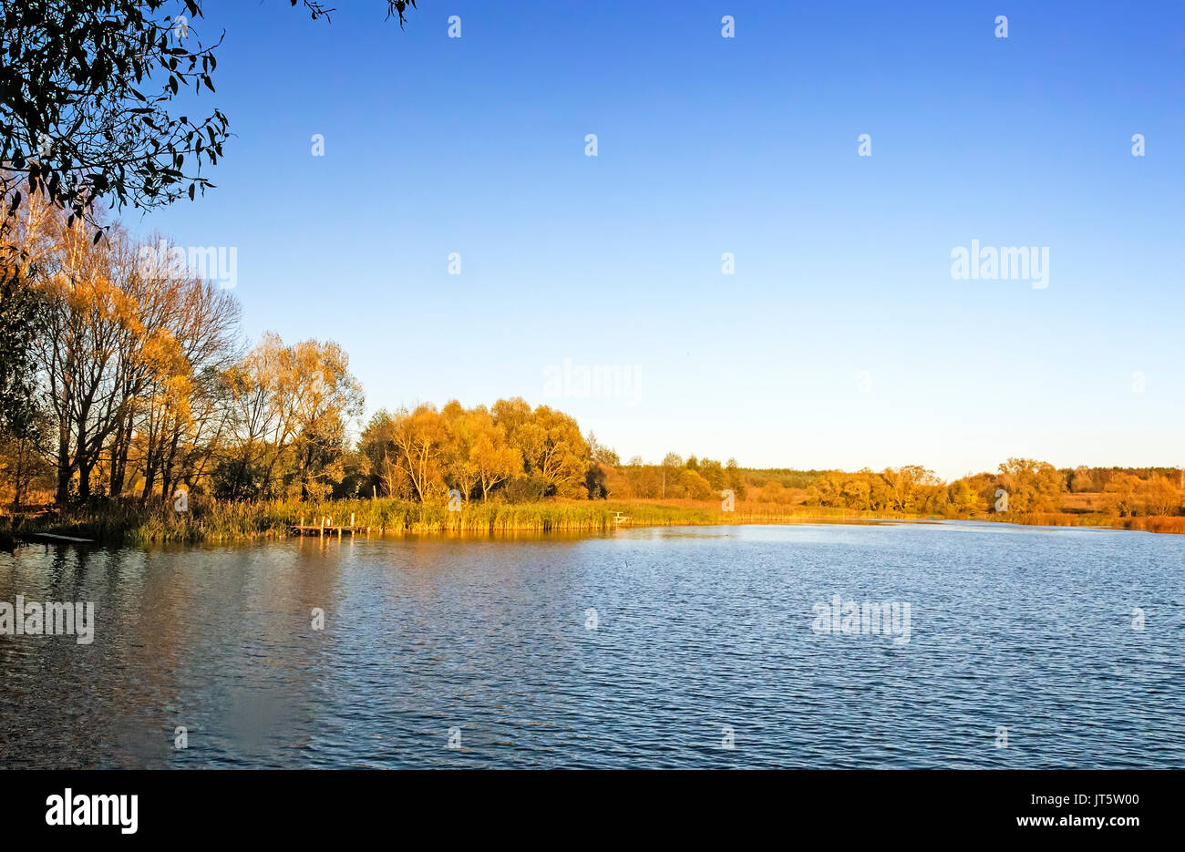 The autumn wood on the bank of the big beautiful lake Stock Photo - Alamy