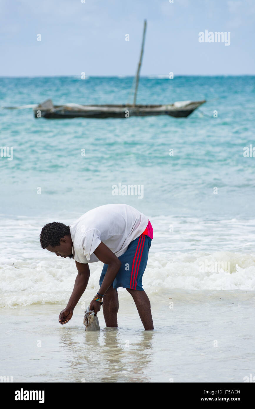Fisherman washes caught octopus in sea water by shoreline beach, Diani, Kenya Stock Photo