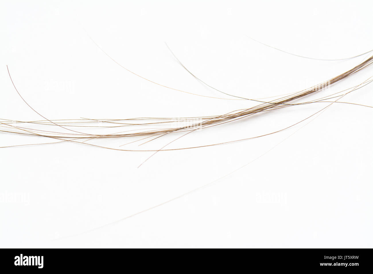 strands of human hair on white background Stock Photo