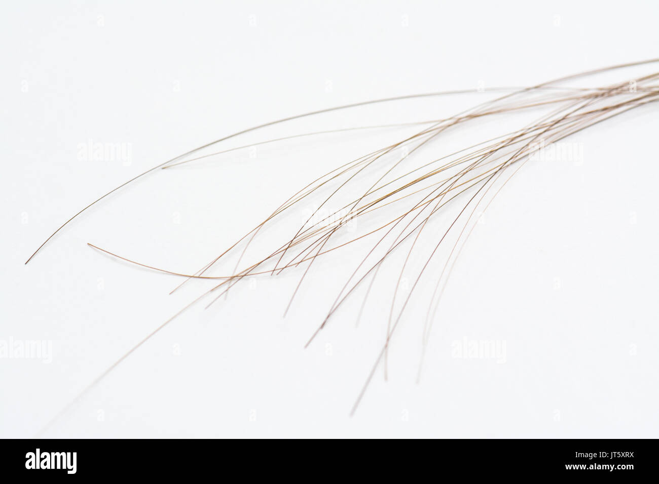 Hair strands hires stock photography and images Alamy