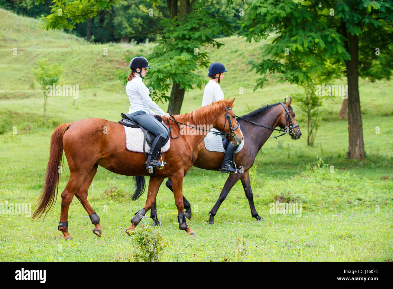 Two young women riding horse in park. Horse walk in summer Stock Photo