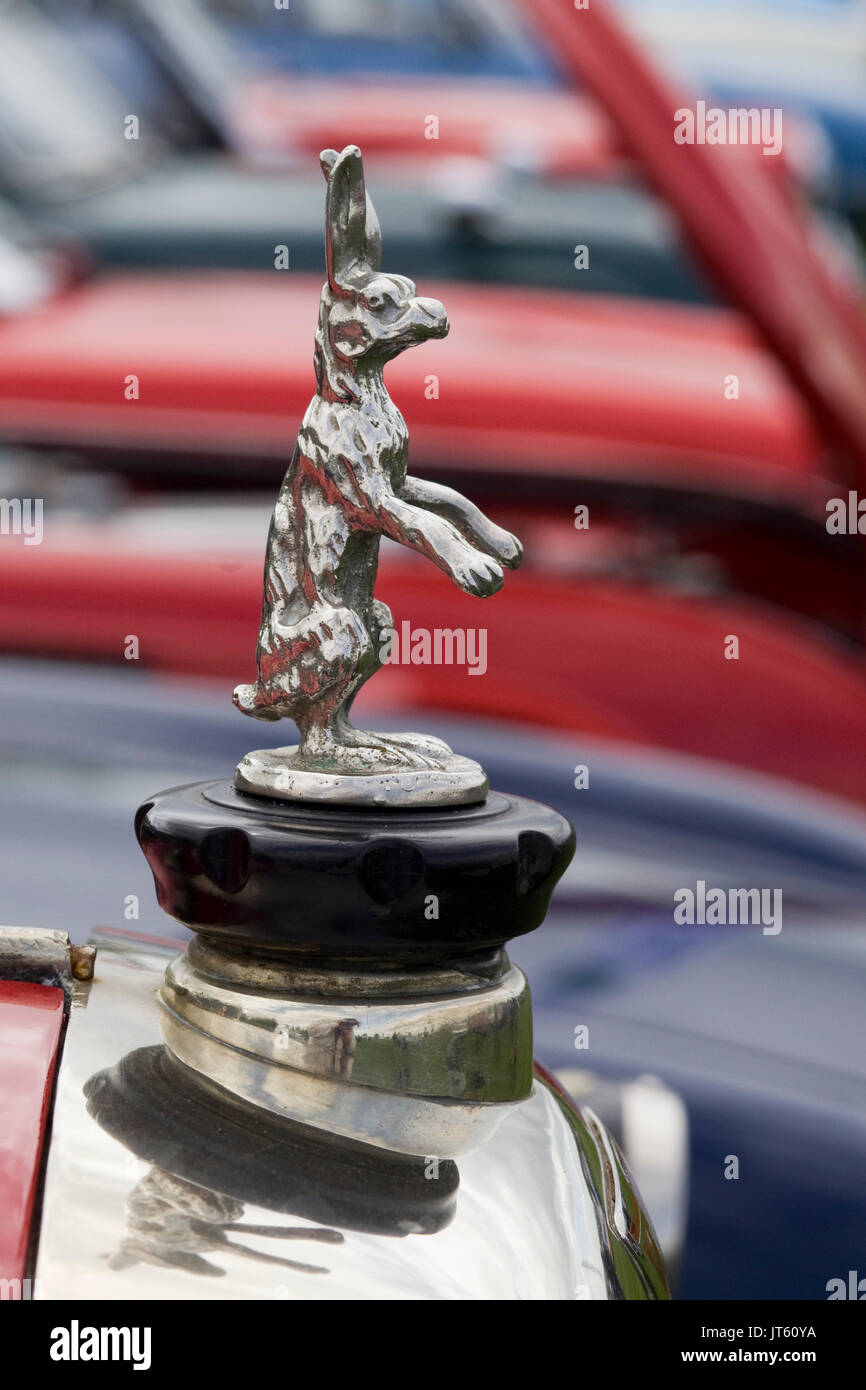 chrome rabbit hood ornament on a alvis car Stock Photo