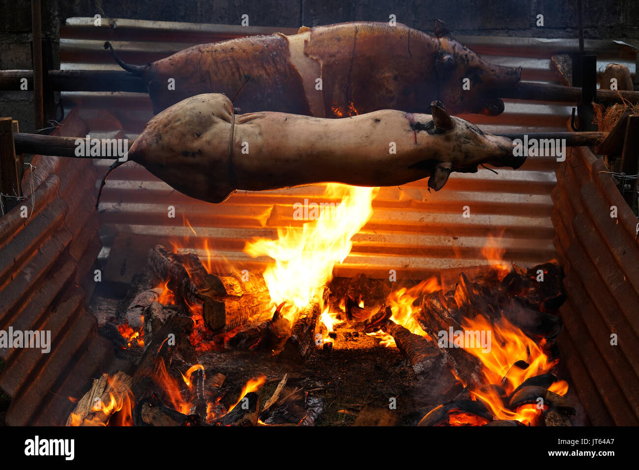 Tasty pigs traditionally prepared for dinner on a rotating spit with hot fire and coal underneath. Stock Photo
