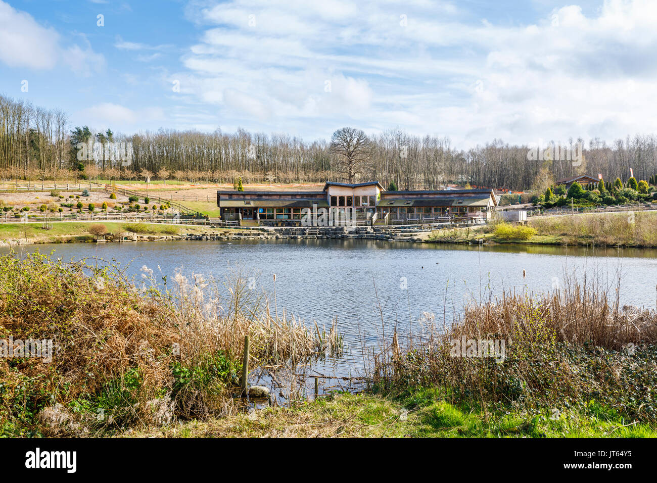 Bedgebury National Pinetum lake, cafe and visitor centre, Bedgebury, Kent, south-east England in spring Stock Photo