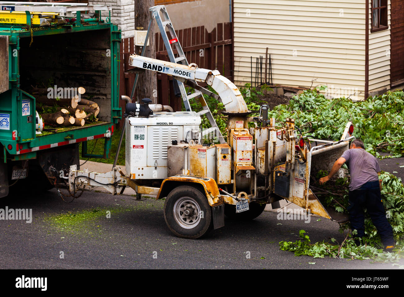 June 11th 2015, Montreal CANADA. Tree Shredder Machine in action and workers pushing Branches into it after cutting the Tree. Stock Photo