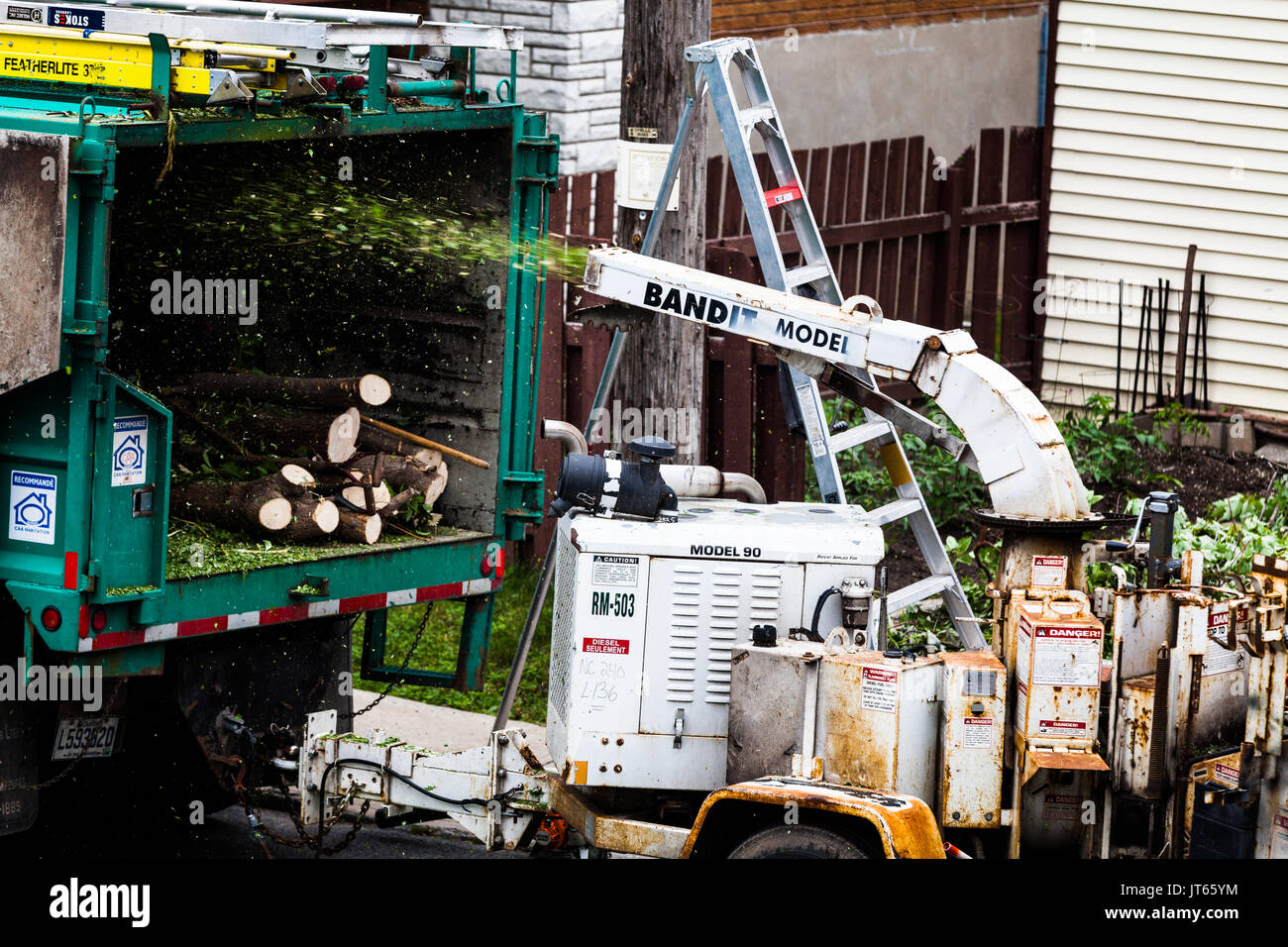 June 11th 2015, Montreal CANADA. Tree Shredder Machine in action and workers pushing Branches into it after cutting the Tree. Stock Photo