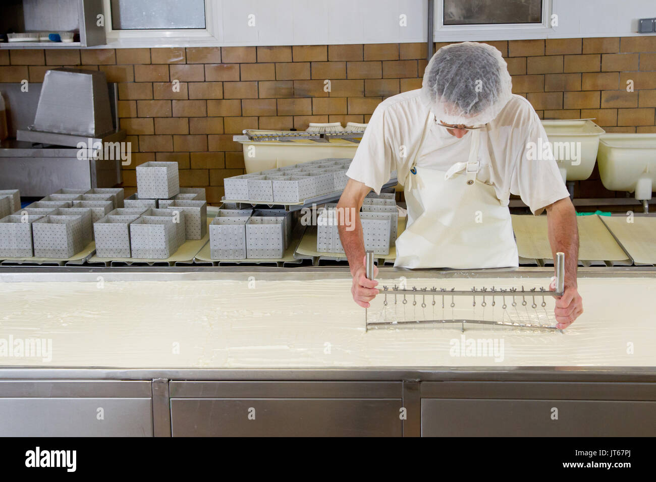 Cheese from northern France production of Maroilles cheese