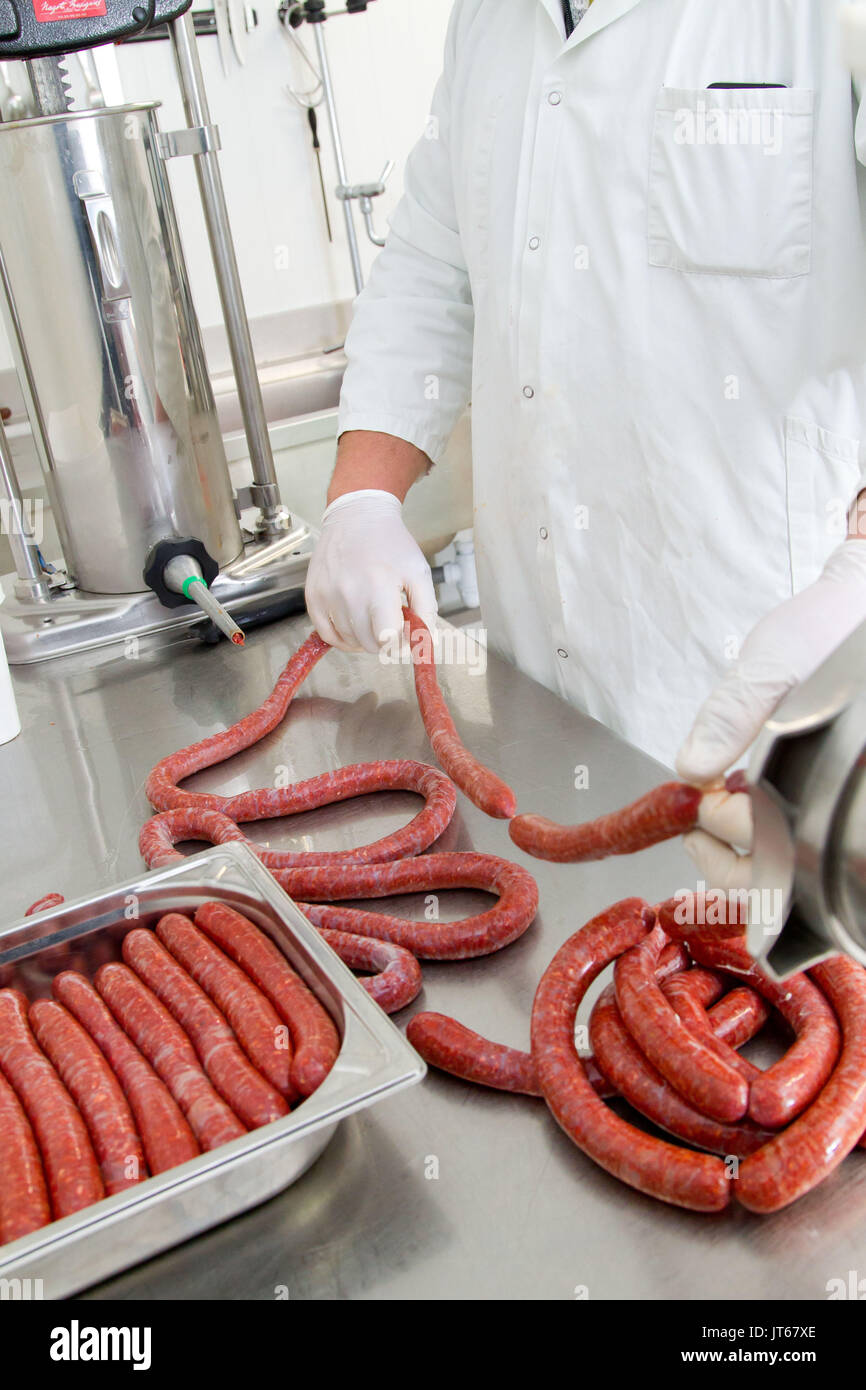 Farm produce processing preparation of merguez sausage in a farm Stock