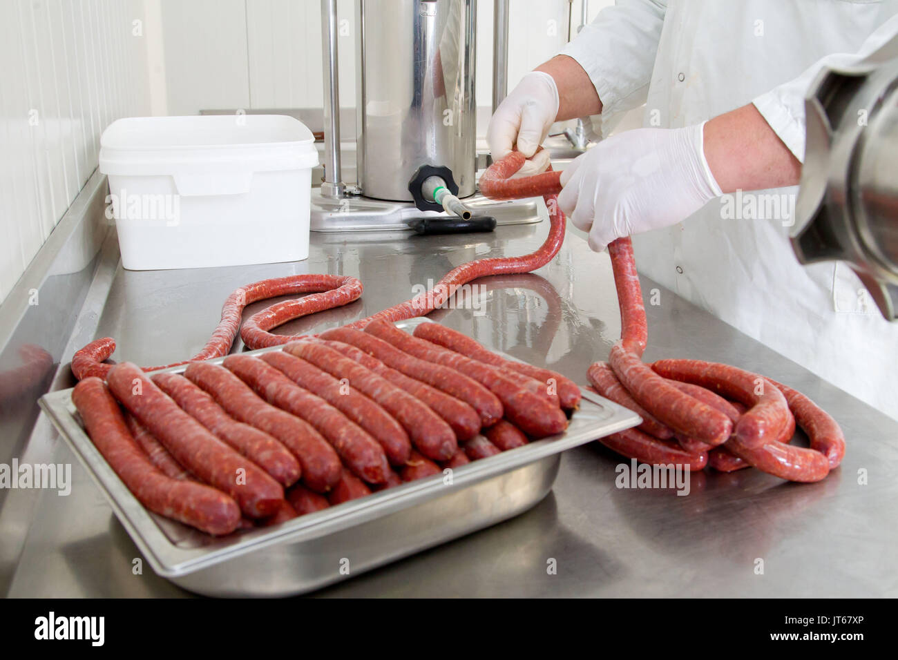 Farm produce processing preparation of merguez sausage in a farm Stock