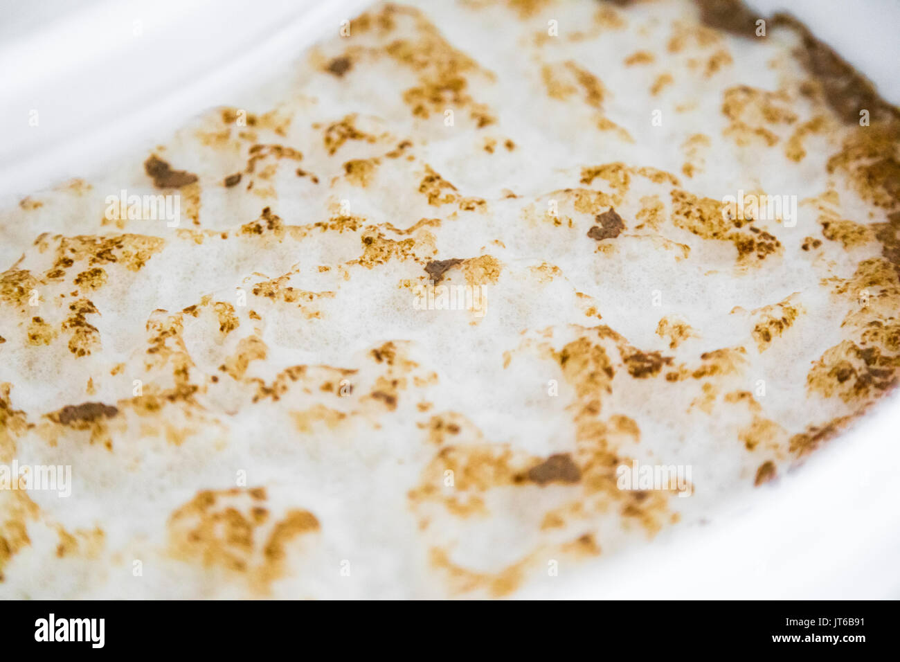 Active Yeast Krausen in a Bucket of a Homebrewer's Beer Fermenting