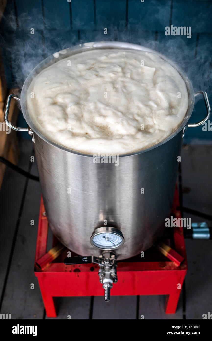 Homebrewing Hot Break and lot of Protein Froth on to of the Boil Kettle