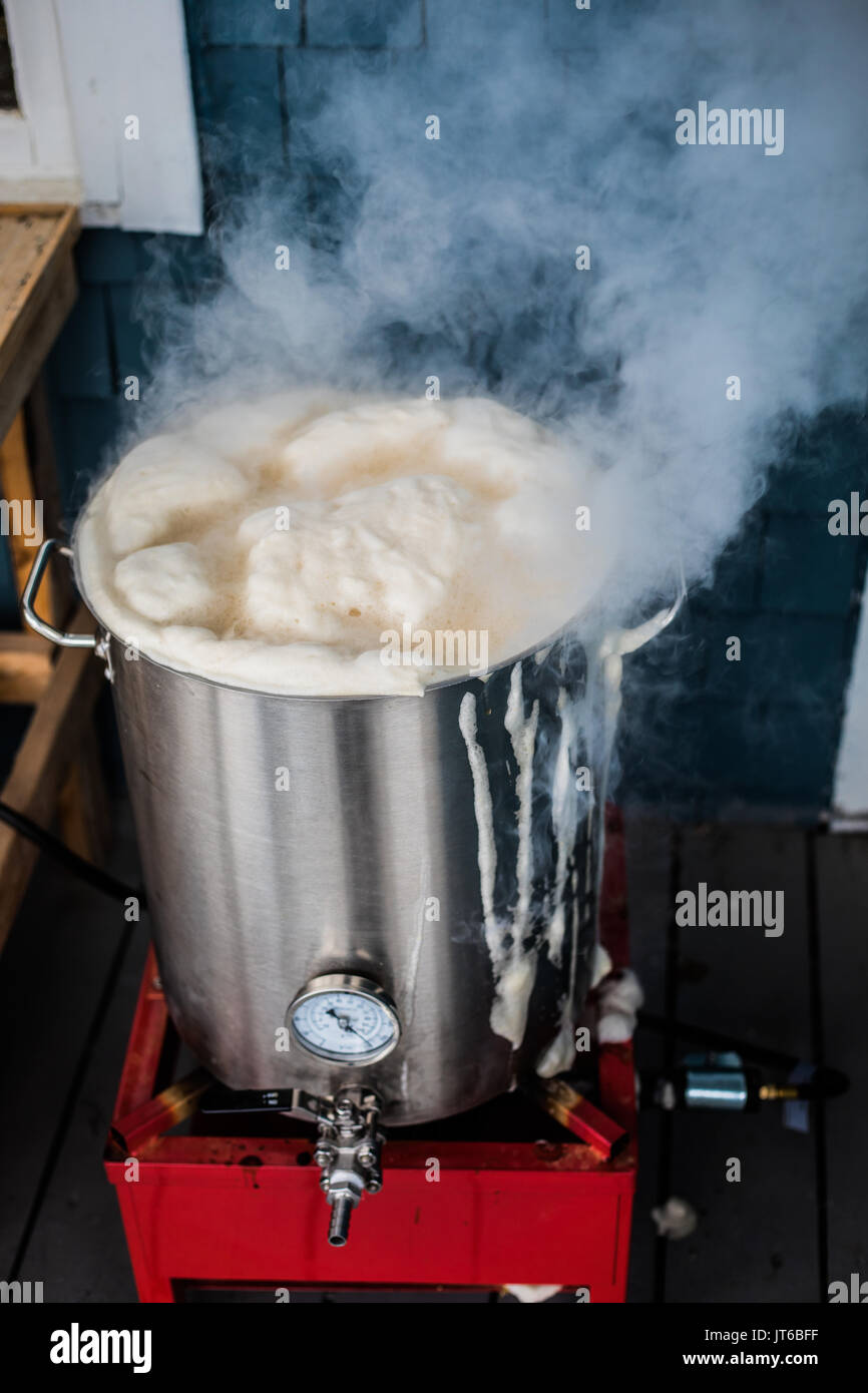 Oups ! Boil Over or a Homebrewing Hot Break and lot of Protein Froth on