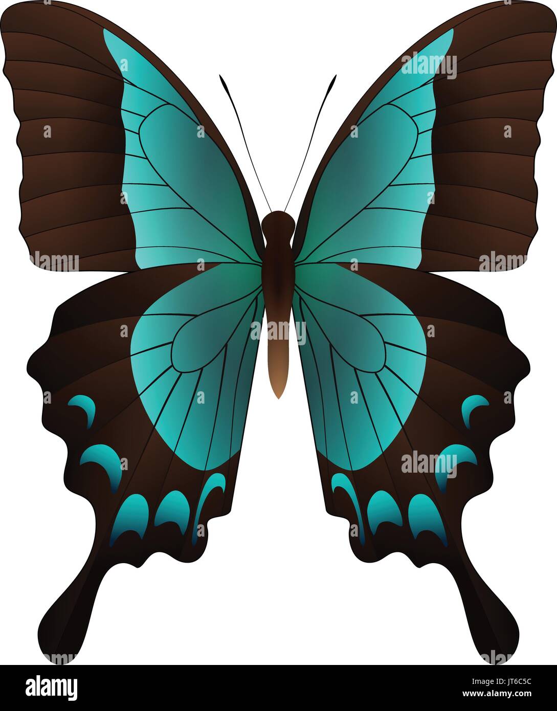 Beautiful butterfly isolated on a white background Stock Vector Image ...