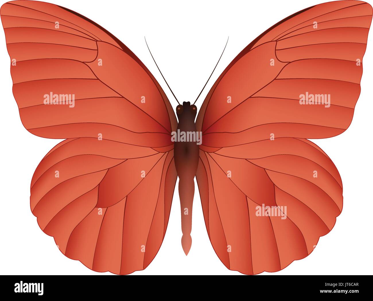 Beautiful butterfly isolated on a white background Stock Vector Image ...