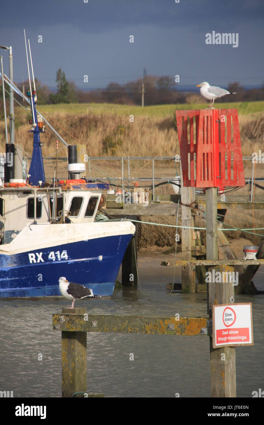 A SUNNY PORTRAIT STYLE PHOTO OF A BLUE AND WHITE FISHING BOAT ON THE ...