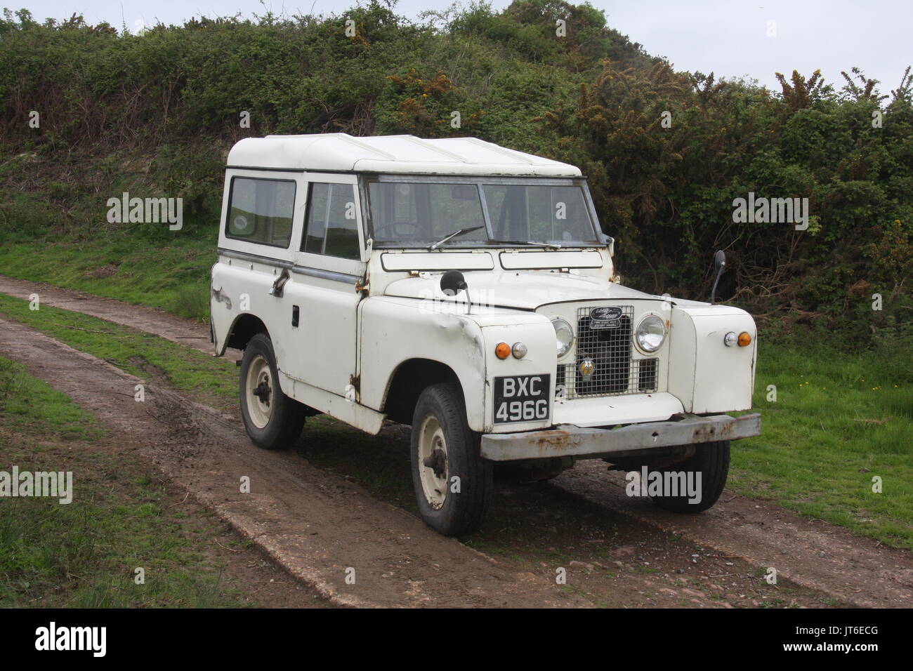 A VINTAGE WHITE LAND ROVER STATION WAGON ON A FARM TRACK Stock Photo