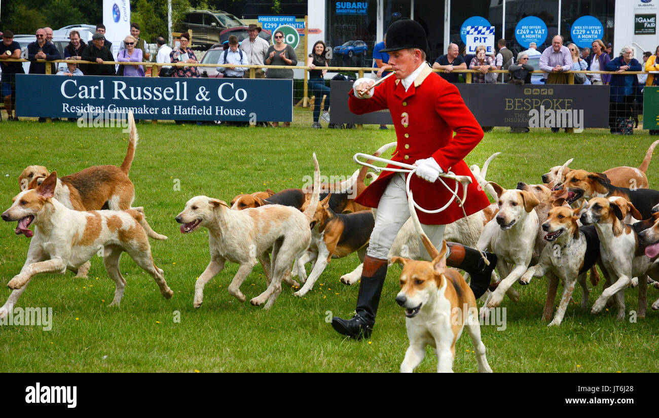 Mcc0078229 Robert Medcalf with The South Devon Hound pack at The Game ...