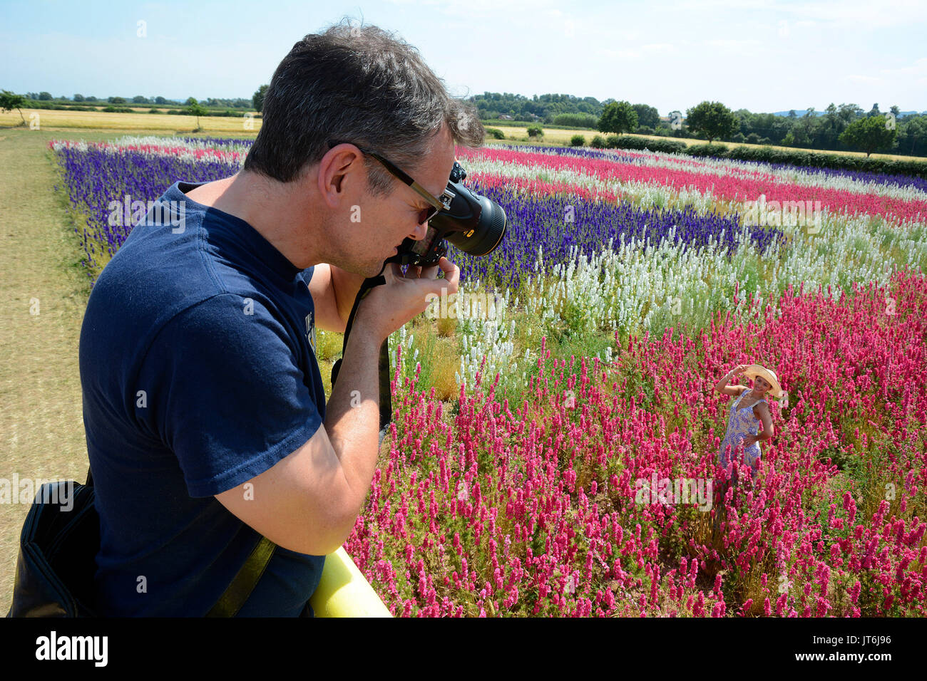 Blooming gorgeous weather- Barry Kruger photographing his wife Maria Kruger from Royal Leamington Spa amongst the delphiniums forming a Union flag at the Confetti Field in Wick, Worcestershire today- one of the world's largest carpets of flowers where today it reached 28 degrees C. The 18 acres of delphiniums are currently being picked for confetti by The Real Flower Confetti Company. Photos by John Robertson, 6th July 2017. Stock Photo