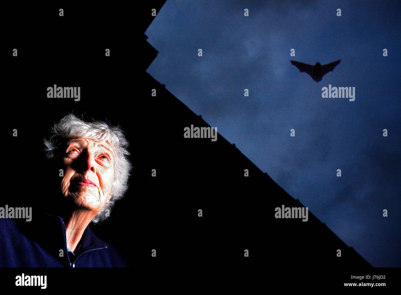 Gail Rudge at Braunston in Rutland, watching the bats which are damaging All Saints Church Stock Photo