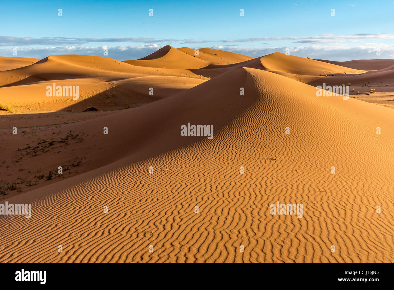 Sand dunes in Erg Chigaga with blue sky, Morocco Stock Photo