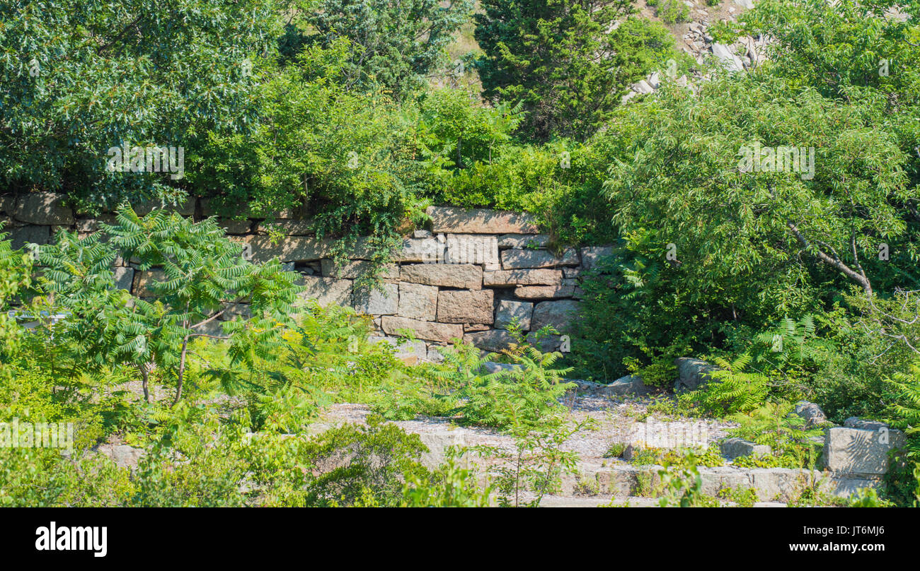 Stone wall new england forest hi-res stock photography and images - Alamy