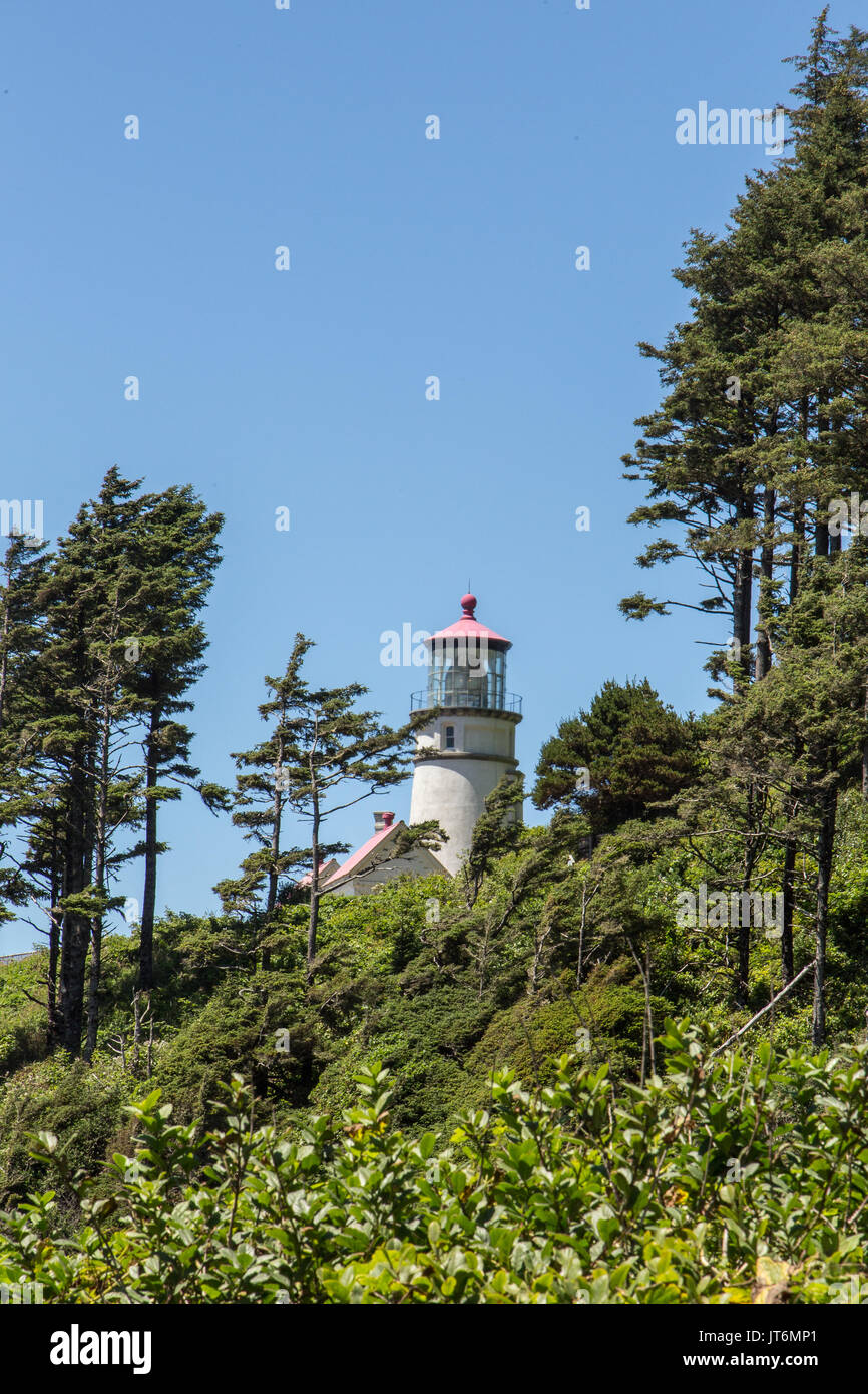 Lighthouse through the trees Stock Photo