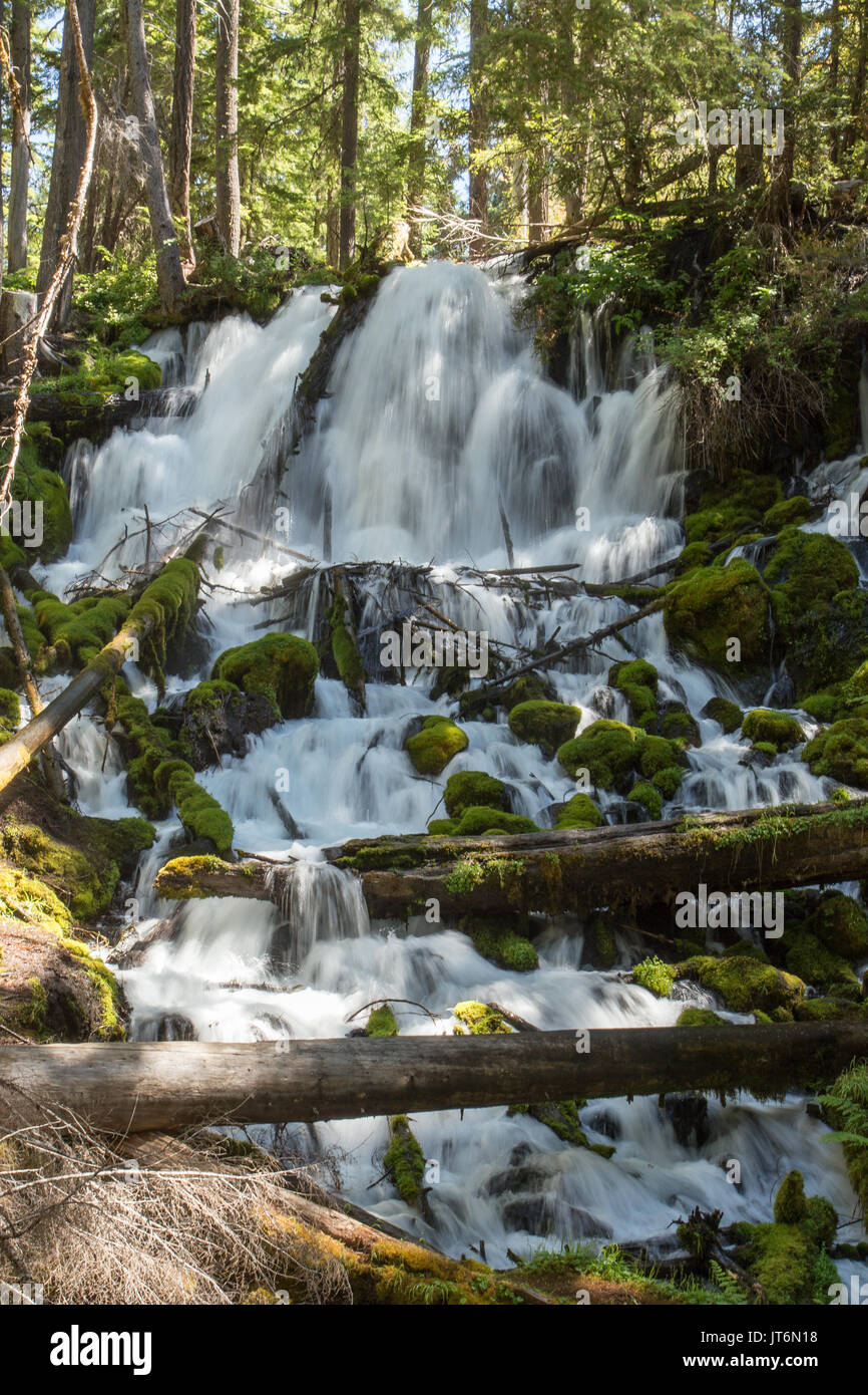 Clearwater Falls Stock Photo