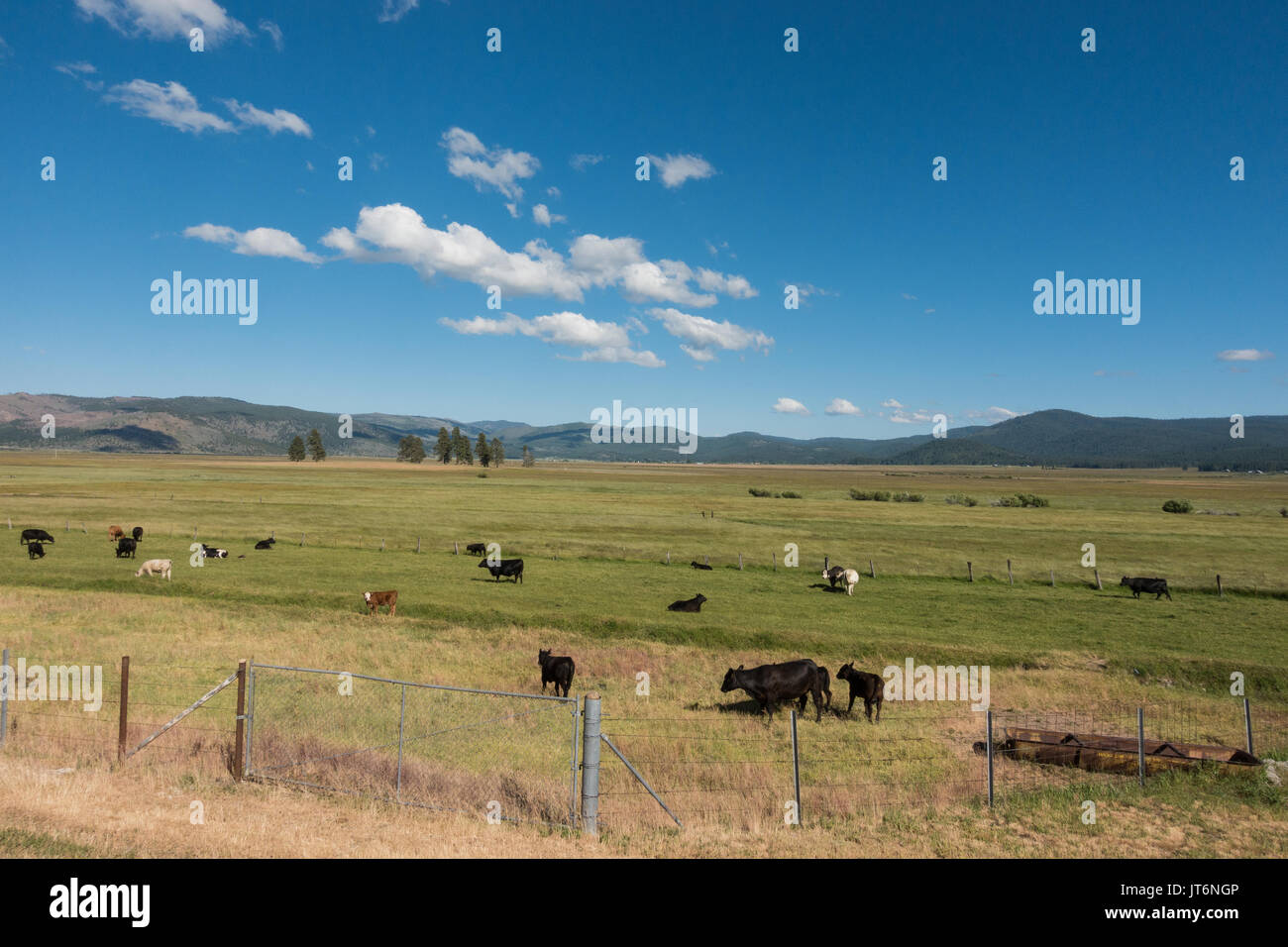 Sierra valley hi-res stock photography and images - Alamy
