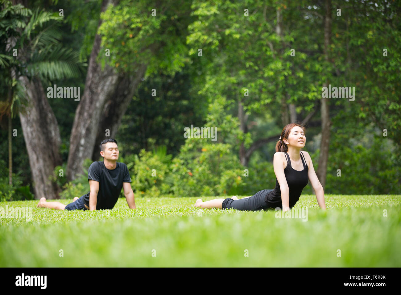 Asian Man and woman doing Tai Chi in a garden. Healthy lifestyle and relaxation concept. Stock Photo