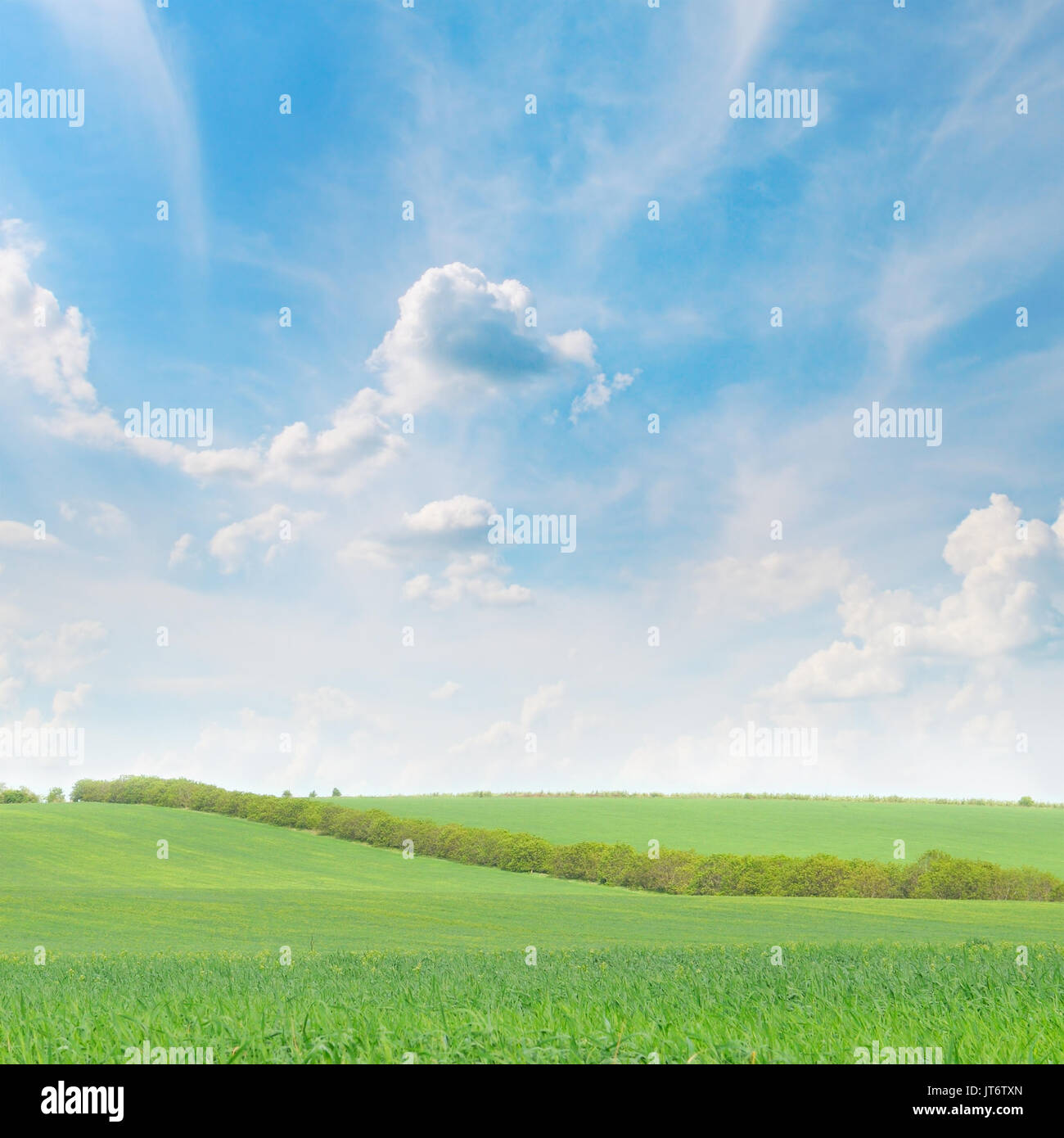 green field and blue sky with light clouds Stock Photo - Alamy